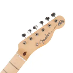 PAISLEY SIGNATURE MODEL
