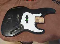 USA W/ PICKGUARD