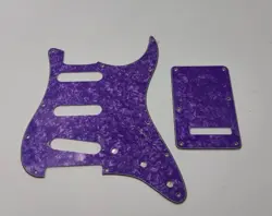 PICKGUARD W/ BACK