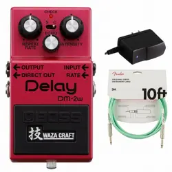 DELAY ANALOG