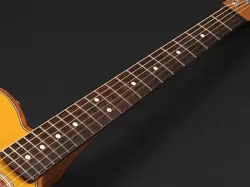 FENDER ACOUSTASONIC PLAYER TELECASTER BUTTERSCOTCH BLONDE SAFE DELIVERY FROM JAP