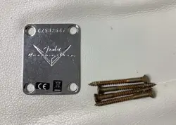 2024 FENDER CUSTOM SHOP JOURNEYMAN RELIC 1959 STRATOCASTER ~ NECK PLATE & SCREWS