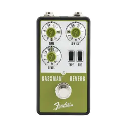 NEW FENDER BASSMAN REVERB