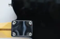 BLACKOUT TELECASTER BLACK