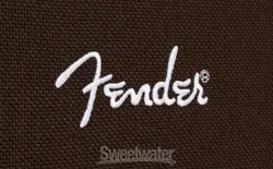 2X100-WATT ACOUSTIC AMP