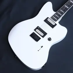 JIM ROOT S/N:
