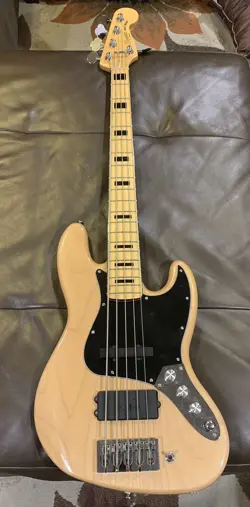 5 STRING BASS GUITAR ( FENDER SQUIER V MODIFIED)