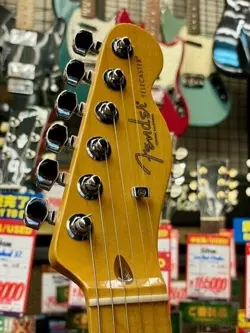 -3-COLOR SUNBURST MAPLE-