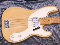 FENDER TELECASTER BASS '73 (1973)