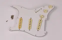 LOADED PICKGUARD 1980S
