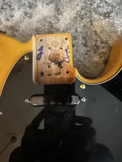 FENDER PLAYER TELECASTER BODY