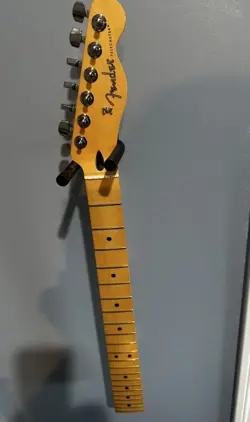 FENDER PLAYERS TELECASTER