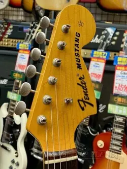 SUNBURST 2010 NO.DG933