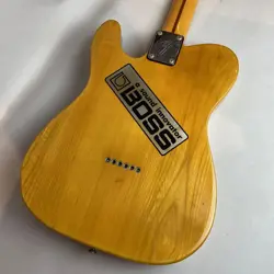 1994 TELECASTER NO.DG869