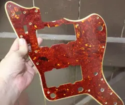 SHELL CELLULOID WIDE