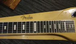LAP STEEL STRING