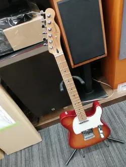 FENDER PLAYER TELECASTER ROASTED MAPLE NECK ELECTRIC GUITAR