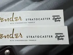 2PCS STRATOCASTER WATERSLIDE