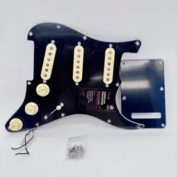 LOADED PICKGUARD 24124