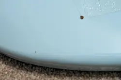 JAZZMASTER BODY SONIC