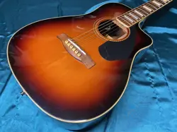 3TS ELECTRIC ACOUSTIC