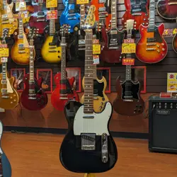 FENDER JAPANTL71/ASH