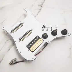 PICKGUARD SSH AINICO