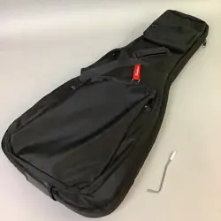 USB STRATOCASTER ELECTRIC