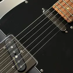 FENDER PLAYER PLUS TELECASTER 3.63KG SAFE DELIVERY FROM JAPAN