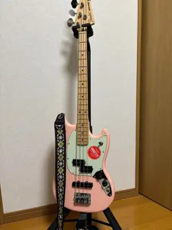 LIMITED EDITION MUSTANG