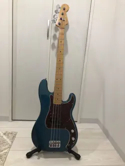 TORTOISESHELL PICKGUARD USED