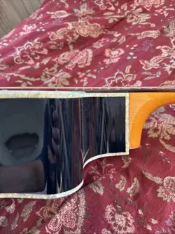 SONORAN SCE CALIFORNIA