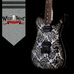 FENDER CUSTOM SHOP KYLE MCMILLIN MASTERBUILT TELECASTER HH NOS BLACK PAISLEY 7.3