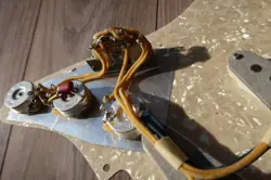 FULLY LOADED PICKGUARD