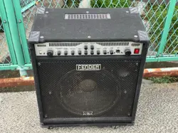 BASSMAN250 BASS