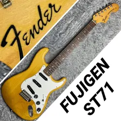 JUNK FENDER JAPAN ST71 FUJIGEN FROM JAPAN