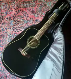 ACOUSTIC-ELECTRIC W/