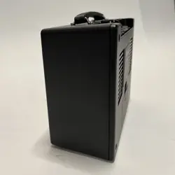 MINI DELUXE™ AMPLIFIER