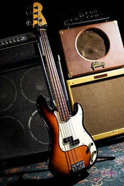 FRETLESS 1995 NO.DG259