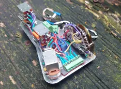 CIRCUIT KELLINGSSOUND