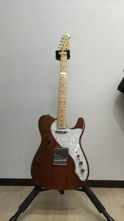 FENDER MEXICO CLASSIC '69 TELECASTER THINLINE ELECTRIC GUITAR