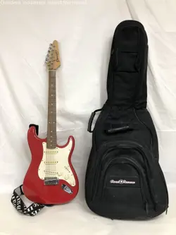 ZIP GIG BAG