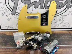 LOADED PICKGUARD/CONTROL