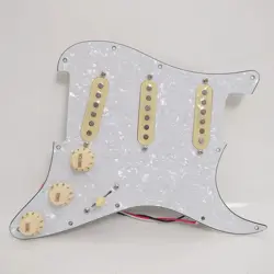 PICKGUARD LOADED ALNICO