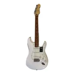 ELECTRIC GUITAR 12N
