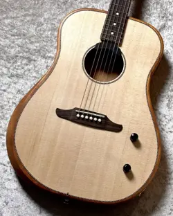 DREADNOUGHT USED W/GIG