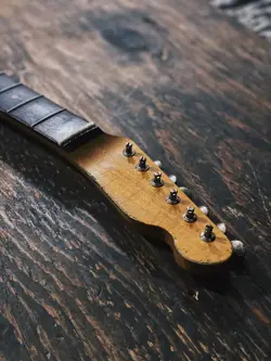 FENDER RELIC REPLACEMENT ALLPARTS ROSEWOOD TELECASTER TRO-FAT NECK LIGHT AGED