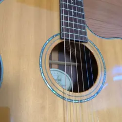 ACOUSTIC GUITAR ECO