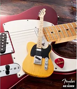 FT-001 FENDER
