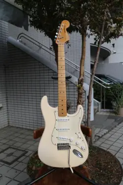 FENDER MEX TRACKING NUMBER